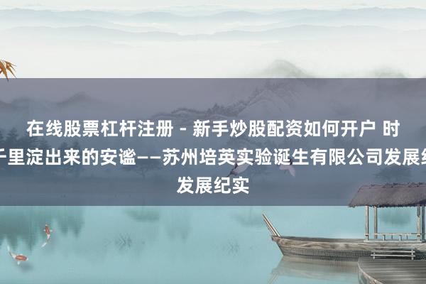 在线股票杠杆注册 - 新手炒股配资如何开户 时期千里淀出来的安谧——苏州培英实验诞生有限公司发展纪实