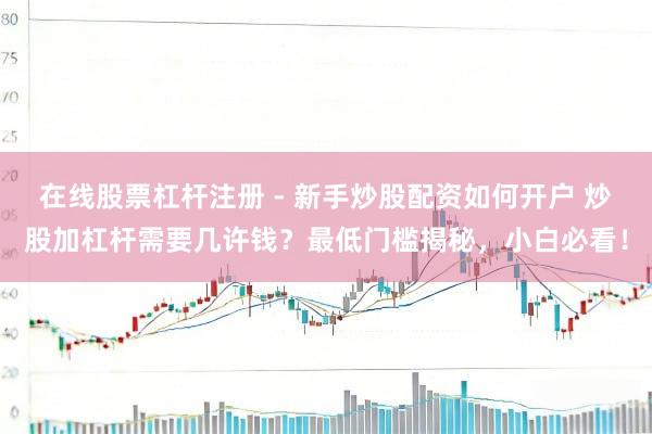 在线股票杠杆注册 - 新手炒股配资如何开户 炒股加杠杆需要几许钱？最低门槛揭秘，小白必看！