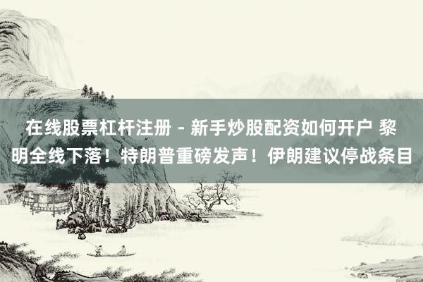 在线股票杠杆注册 - 新手炒股配资如何开户 黎明全线下落！特朗普重磅发声！伊朗建议停战条目