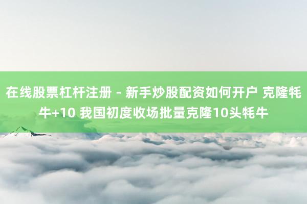 在线股票杠杆注册 - 新手炒股配资如何开户 克隆牦牛+10 我国初度收场批量克隆10头牦牛